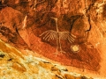 Hidden deep in the folds of Comb Ridge, an ancestral Puebloan petroglyph (probably 1,500 years old) celebrates the crane. (c) Josh Ewing