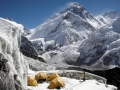Everest Expedition 2015 von Alix von Melle und Luis Stitzinger (c) Alix von Melle, Luis Stitzinger