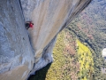 Alex Honnold klettert durch die Enduro Corner der Freerider Route am El Capitan (c) Jimmy Chin