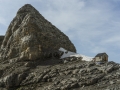 Silberhornhütte (c) Frank Kretschmann