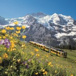 200 Jahre Erstbesteigung der Jungfrau am 3. August 2011