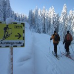 Urteil zu Skitouren auf Pisten: DAV schlägt Fünfpunkte-Plan vor