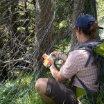 Bilanz Aktion Schutzwald: DAV macht Wald und Wege wieder fit