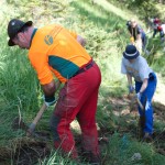 Aktion Schutzwald: Deutscher Alpenverein macht Wald