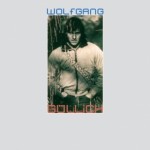 Wolfgang Güllich – Klettern heißt frei sein