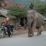 Laos: Isa Schöffl geling Erstbegehung von "Champa Nakon" (7c+/8a)