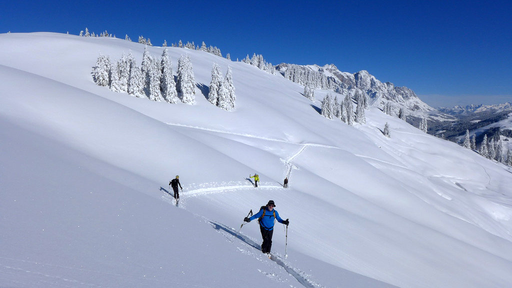 Sicher auf Skitour: Der Alpenverein empfiehlt Entlastungsabstände von 10 Metern beim Aufstieg in Steilhängen (über 30°). Das reduziert nicht nur die Belastung auf die Schneedecke, sondern steigert auch den Komfort bei Spitzkehren (c) Österreichischer Alpenverein