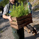 Setzlinge für die Aktion Schutzwald (c) Marco Kost