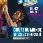 Lead & Speed Europameisterschaft 2015 in Chamonix