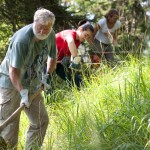 Aktion Schutzwald: Freiwillige Helfer packen bei der Aktion Schutzwald mit an (c) DAV/Marco Kost