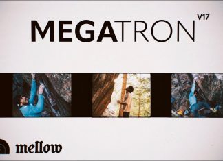 MEGATRON V17 (c) mellow