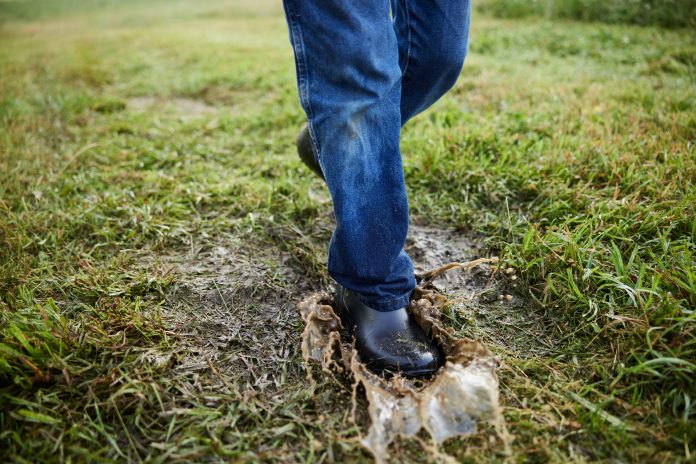 Muckster Lite Ankle (c) Muck Boot Company