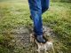 Produktvorstellung: Outdoor-Clogs & Ankleboots von MUCK BOOT Muckster Lite Ankle (c) Muck Boot Company